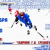 10 декабря Чемпионат Свердловской области по хоккею с мячом 