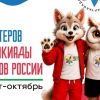 Набор волонтеров 